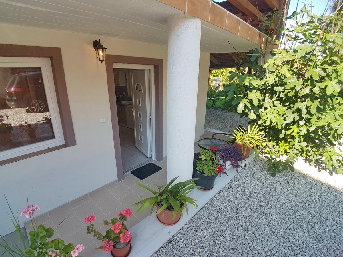 Villa Nora Heviz Exterior photo